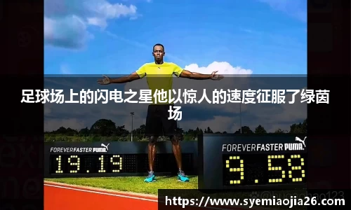 bevictor伟德官网入口